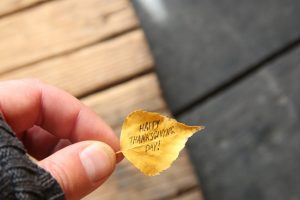 thanksgiving leaf